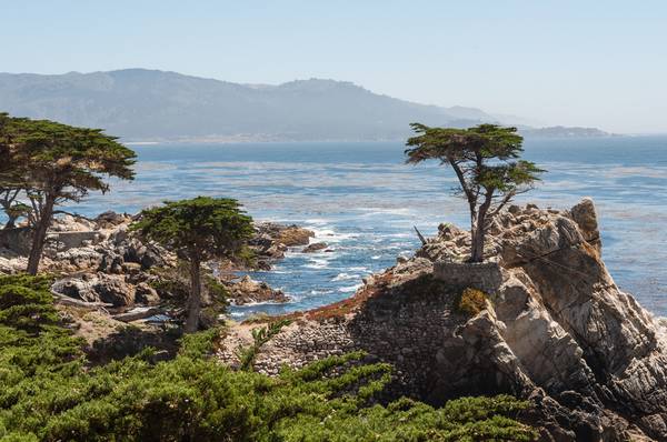 Luxe in Carmel