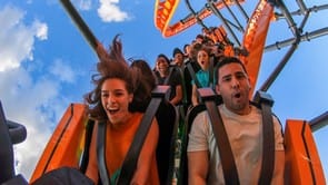 Bush gardens coaster