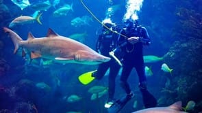The_Florida_Aquarium_