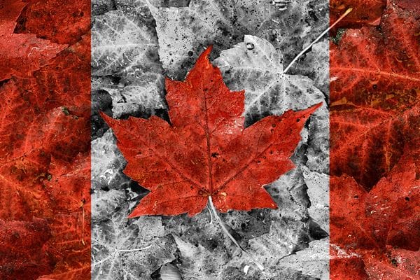 Canadian Flag Maple Leaf