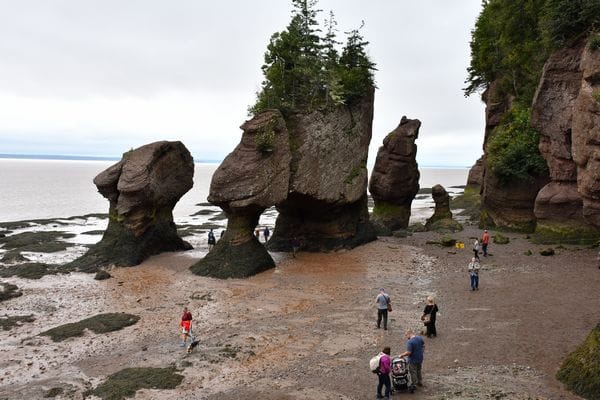 Bay of Fundy