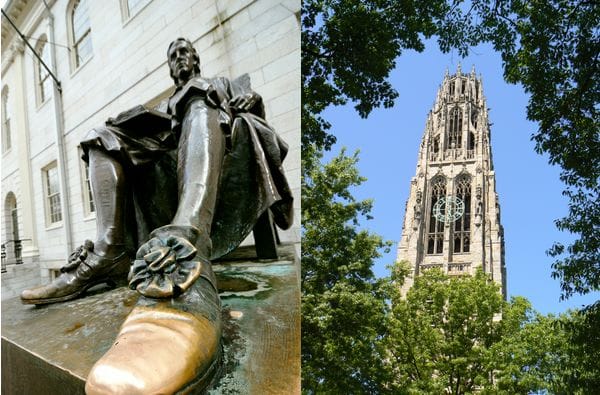 Harvard en Yale