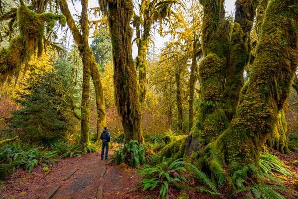 Washington-State