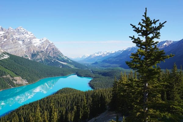Peyto Lake