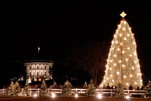 The-National-Christmas-Tree-Washington-DC-Foto-Shutterstock