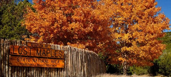 Texas5