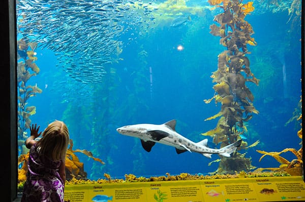 Monterey Bay Aquarium